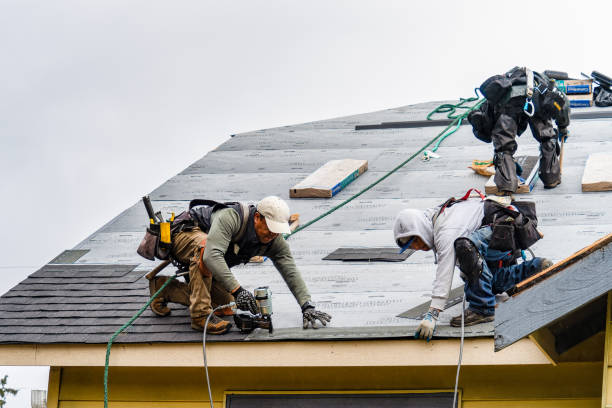 Professional Storm Damage Roof Repair technician working in Maple Lake, MN